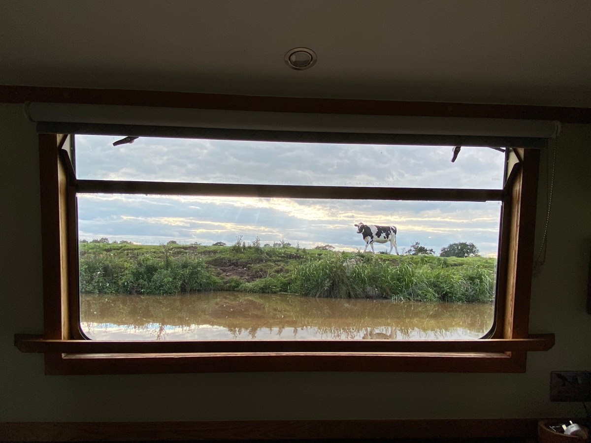 A window with a&nbsp;view!
