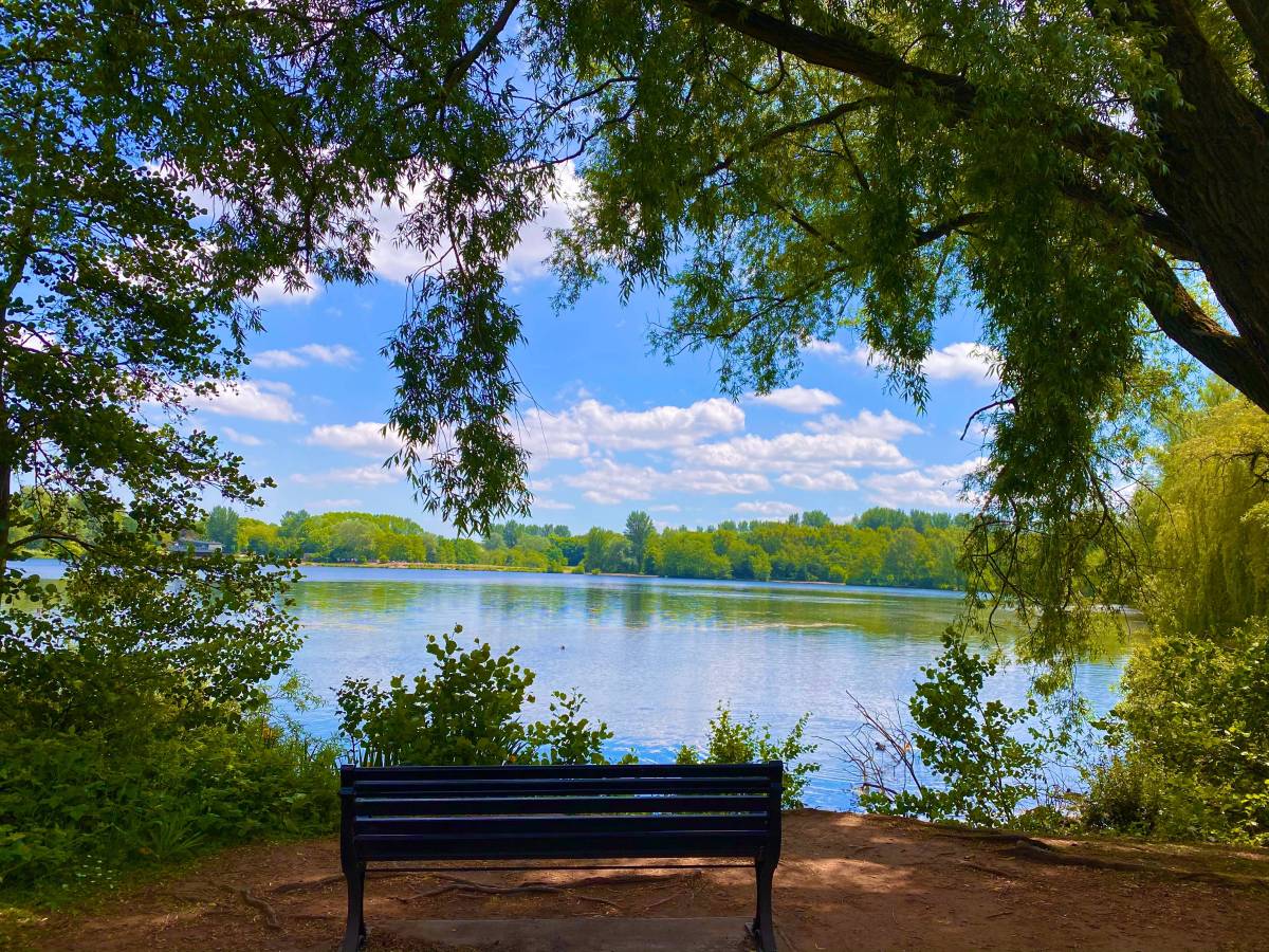 2021 Trip – Week&nbsp;5