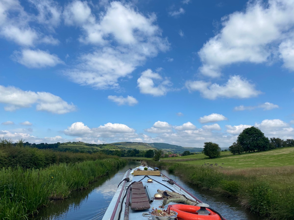 Trip 2021 – Week&nbsp;7